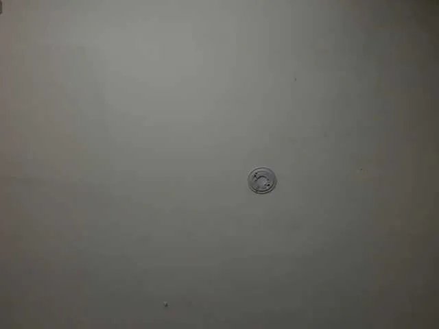 Freechat FernandaX1 on BongaCams